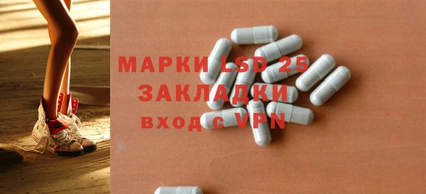 ГАЛЛЮЦИНОГЕННЫЕ ГРИБЫ Аркадак